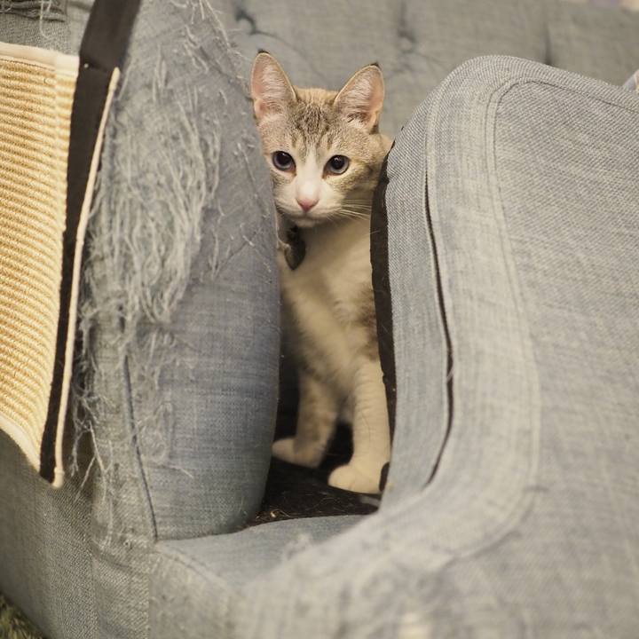 F357ecbb 7a98 4a91 93ca 82fe12a32bd6 1679133433460