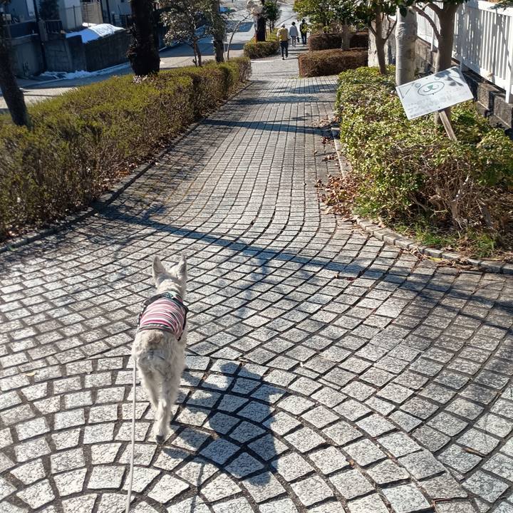 F357fb98 4fad 4369 81c4 e12ec5a2c9ac 1773230369578