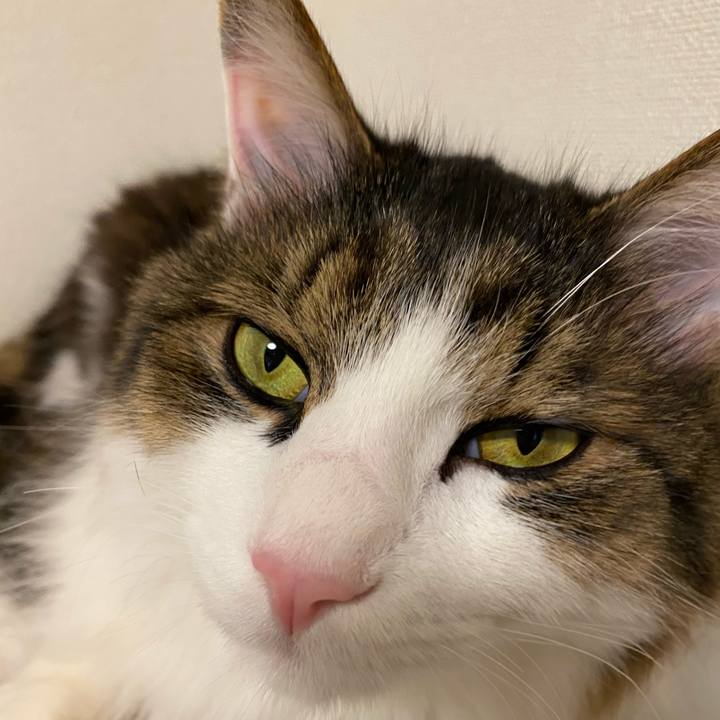 F357fbbe de1a 4357 b25b 75862e6fe812 1582934524289