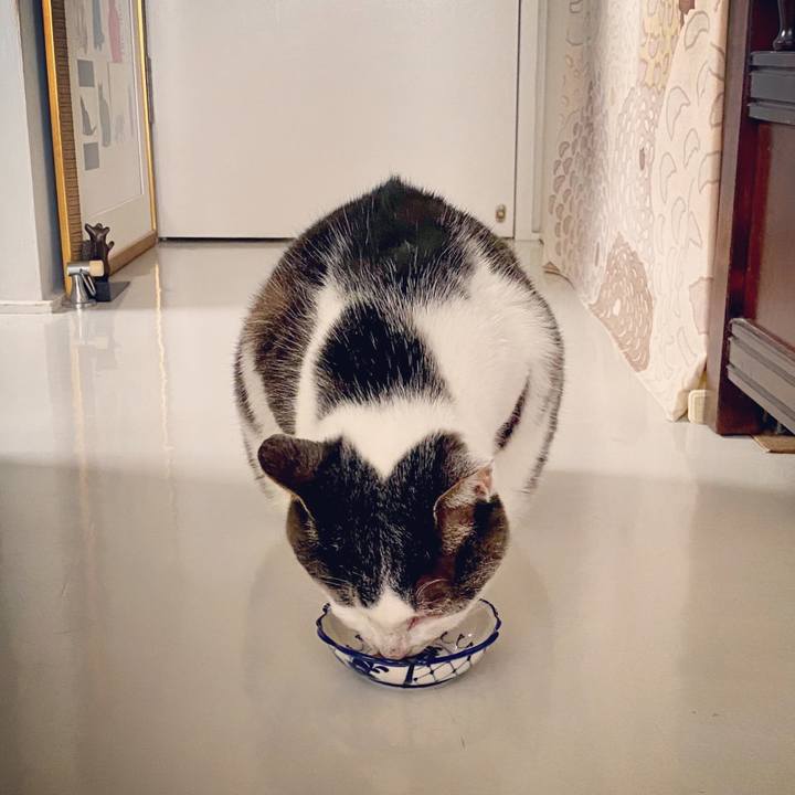 F358103f 244e 44d7 9a66 3d1f9c087987 1583218397513