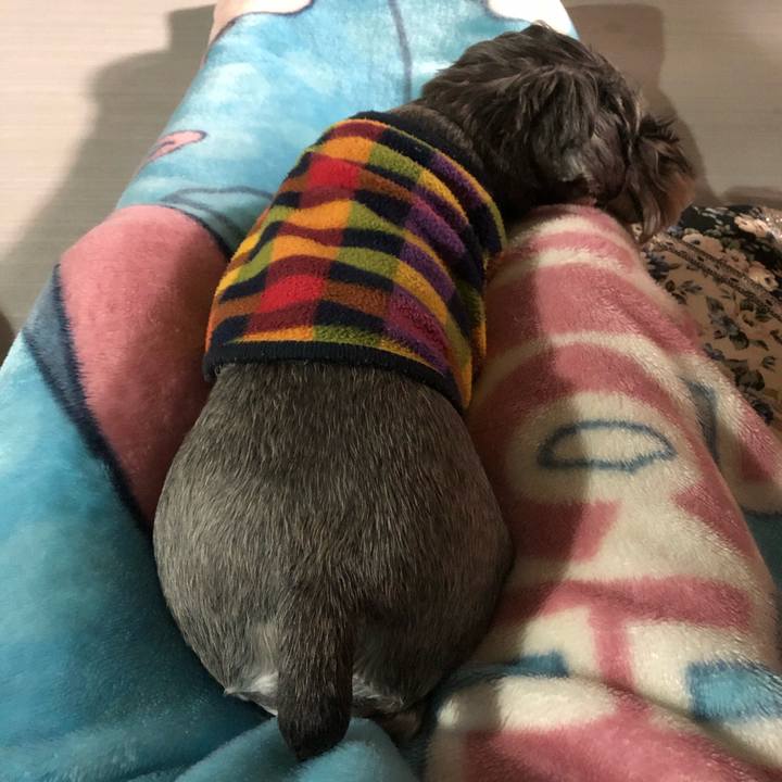 F3581428 88eb 4dd6 ba23 46833057137b 1578832502727