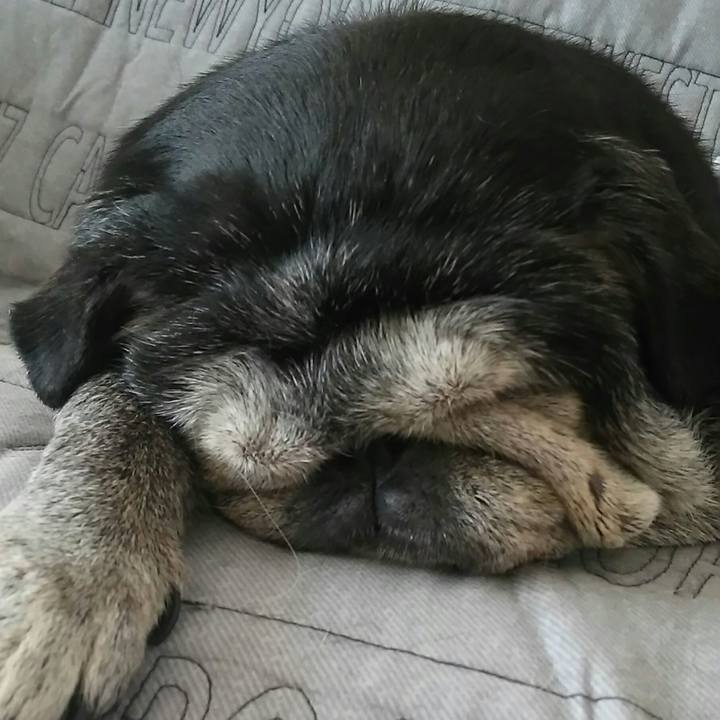 F3581c92 6292 4a32 9168 77edac8e5801 1533195428501