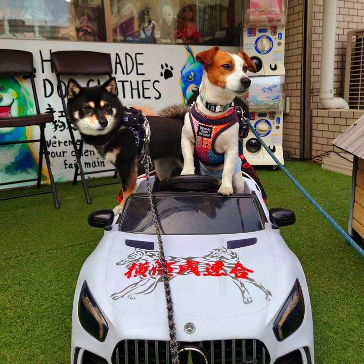 F3581d87 20ad 4944 ab34 9b097a01848f 1716548541950