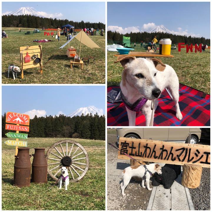 F35822ee daa1 42f4 9b18 3d8014878f28 1554546618905