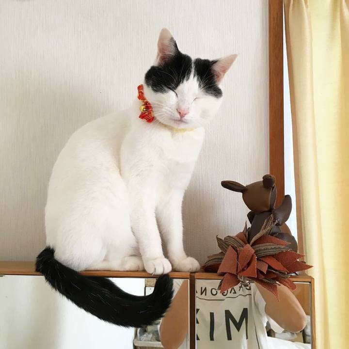 F35835fd 45b4 41e9 bb14 f02b3eb22a2b 1530951910286