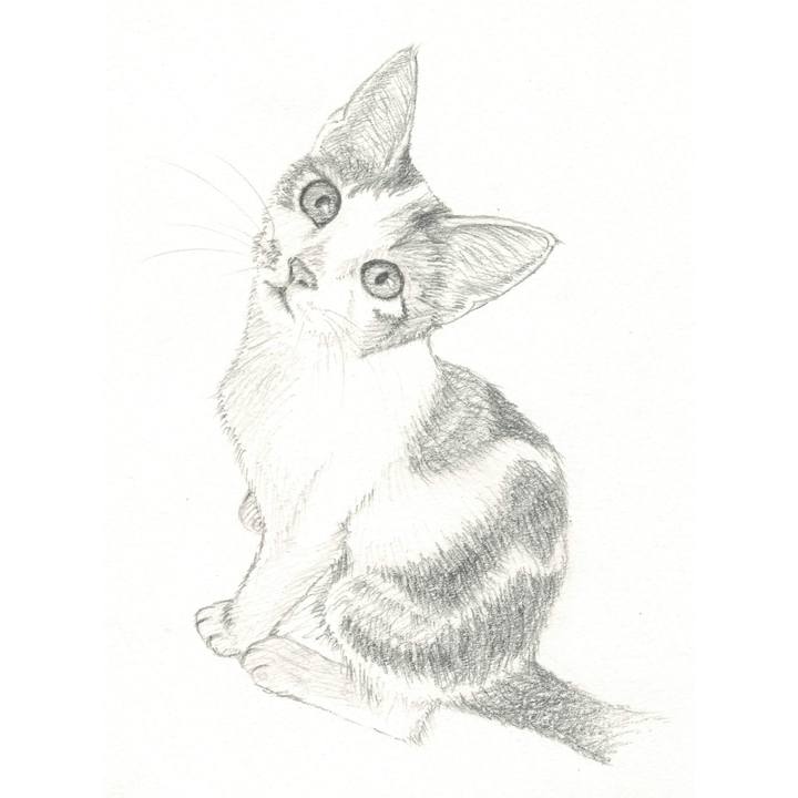 F358cd5e 34a1 4d09 a2b8 abb5aff2f846 1538137267992