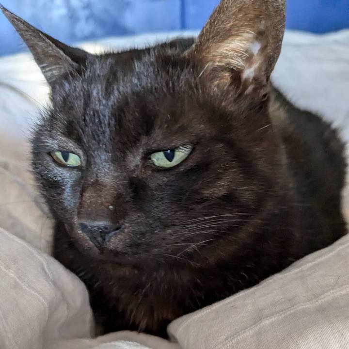 F3593b4f 85e0 450f 93d6 4ec765f0a8c2 1737523974772