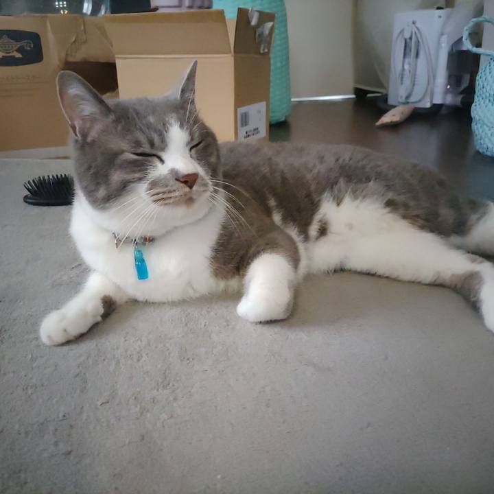 F359684c fc4d 4b44 9a3a 7a0a66715d44 1717998482289