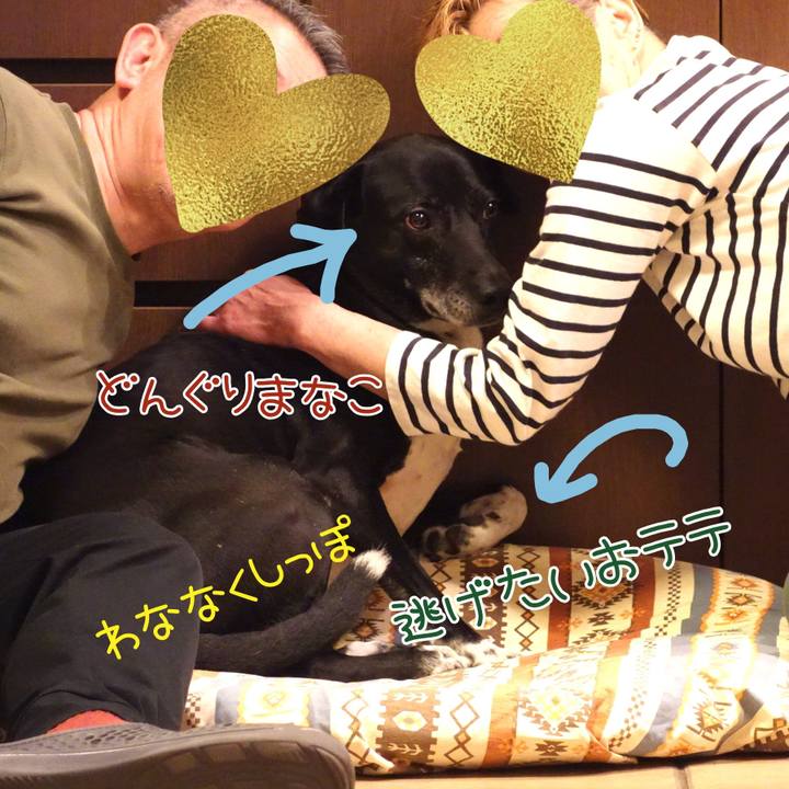 F3599d12 74c8 497c a068 6531715d36e3 1713621686270