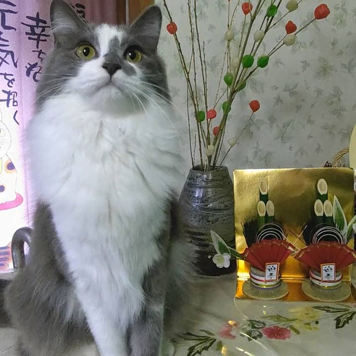 F359d2ff ce31 4c61 885d 30f7e1017524 1577778217411