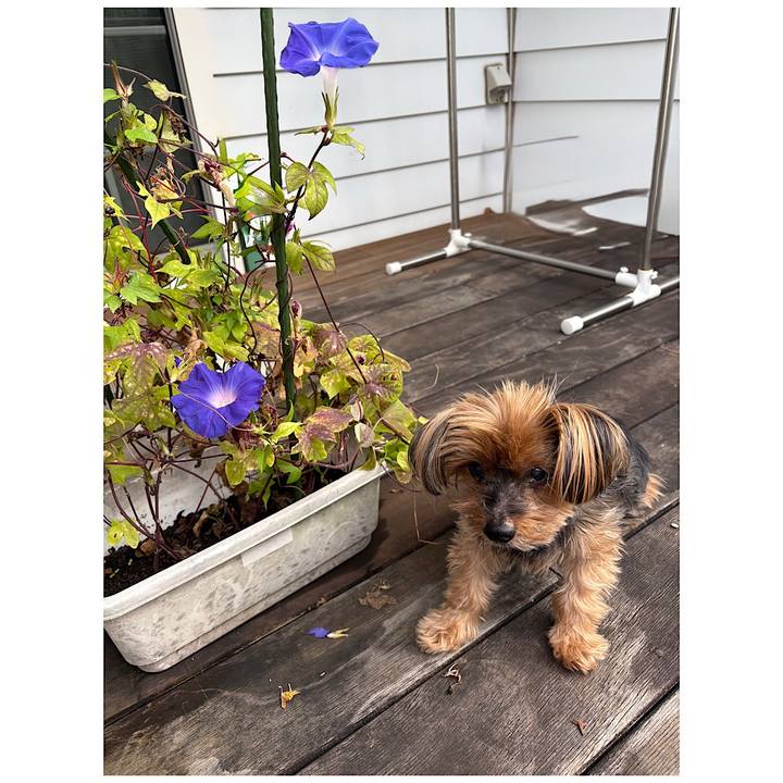 F359d677 25aa 41ea a75f 663ab4d4ae01 1760826587402