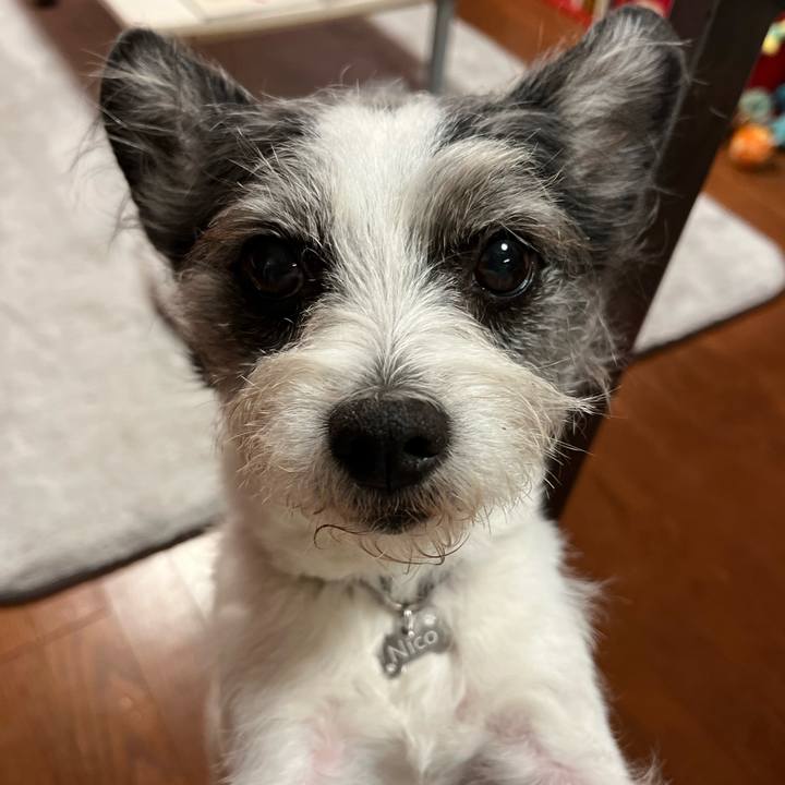 F35a0bf8 2357 446e 996d e347ff83debc 1770432720751