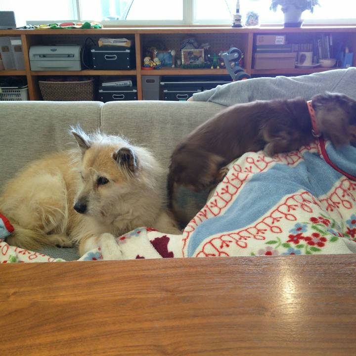 F35a20da 0d25 4715 913a 81c843654a0e 1514784582242