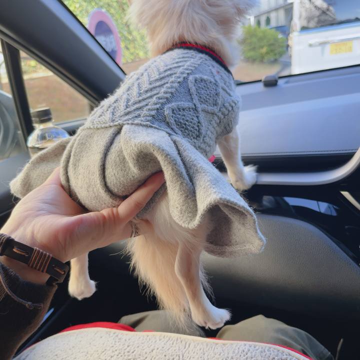 F35a223c 4391 468a 9041 d45df84cff75 1764241093771