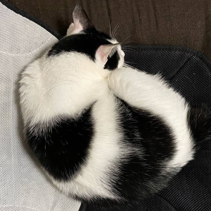 F35a781f 1848 427c b0d9 231f1515199a 1580037345417