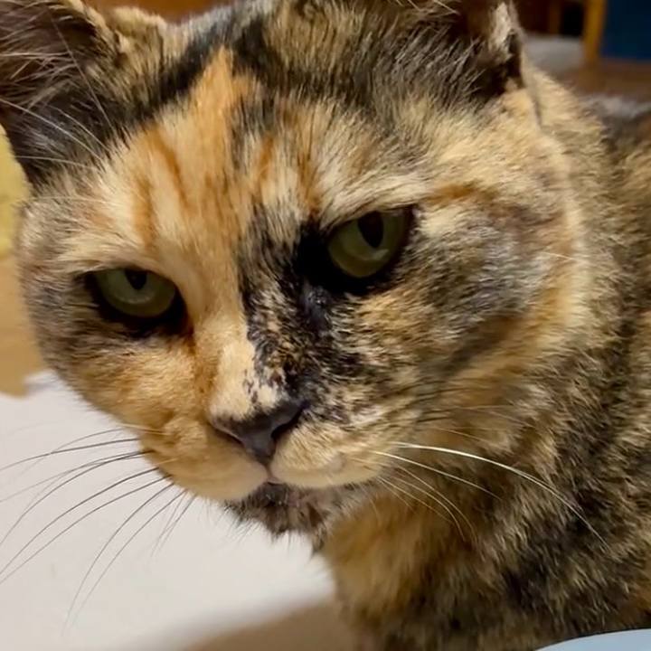 F35a82a3 bf9b 4135 a4c7 40d48bd78f0f 1763635404641