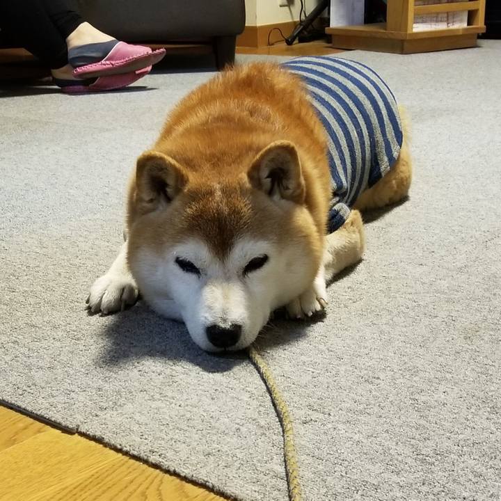 F35a9ba9 9f1c 435e ae6b 44a6d122c606 1672818090662