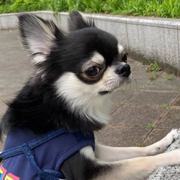 F35ab00e b7c9 40f3 a748 30d8634b0957 1620191482332