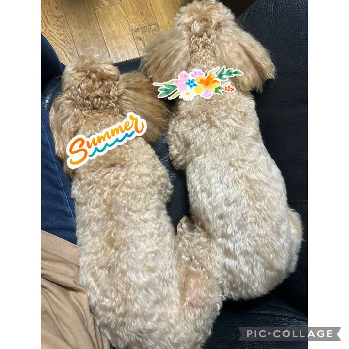 F35aca2a 140a 4876 9862 71a232666b9c 1721689054633