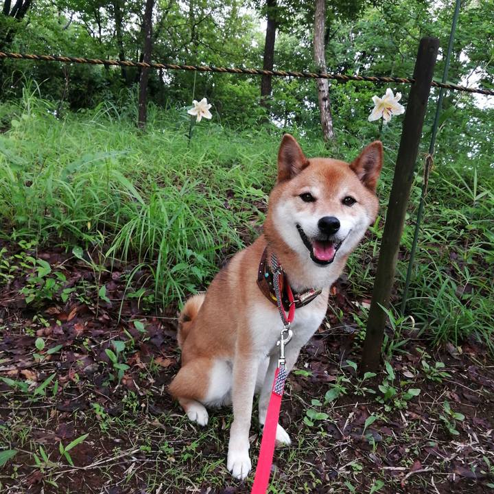 F35af332 7431 41ae be48 46e7814b7951 1625486562186