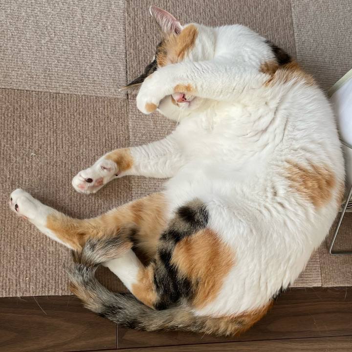 F35b152c e6a1 4f06 b54d fb3a0555bfa3 1658733864270