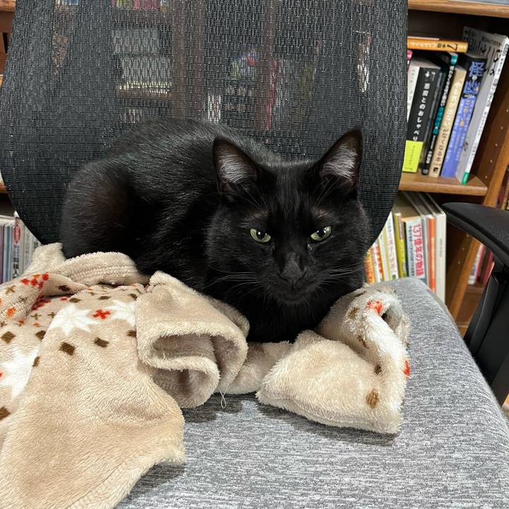 F35b3a15 33f0 4e7e a6ce a9ad4344a70d 1671579490620