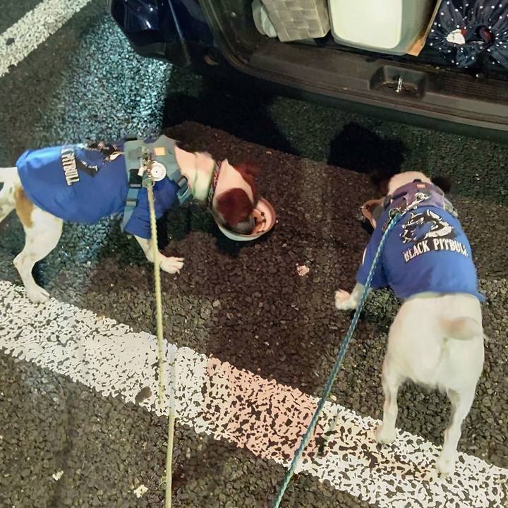 F35b4faa 3255 40f8 a05f 233716a8f891 1663851532533