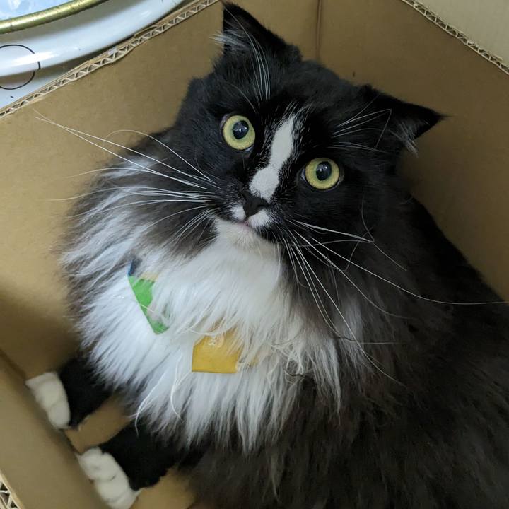 F35b4ff0 8e06 48dd a54e 4fb203bfbc31 1693952888576