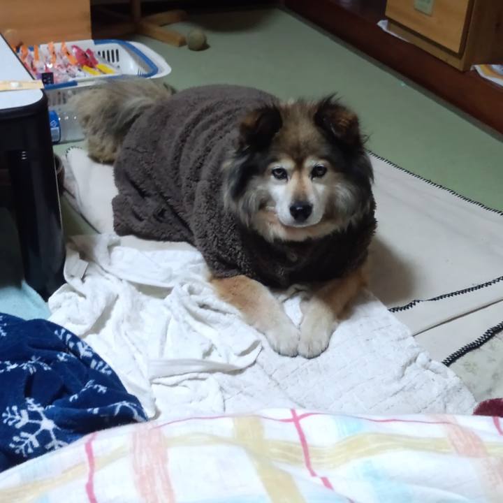 F35b5790 0362 4a27 8d85 d1cc845d8f33 1565460984315