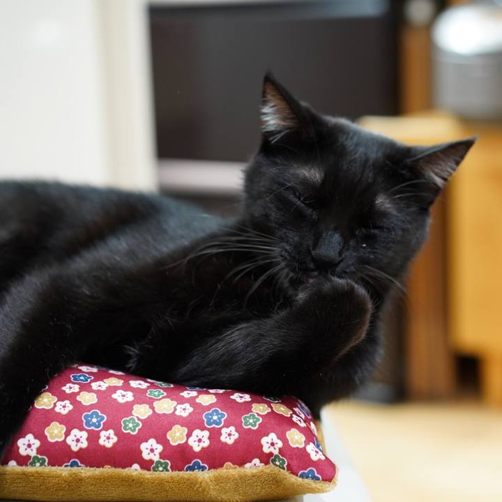 F35c0ebd 0ebf 4b29 af02 ebe919ea1662 1571096360415