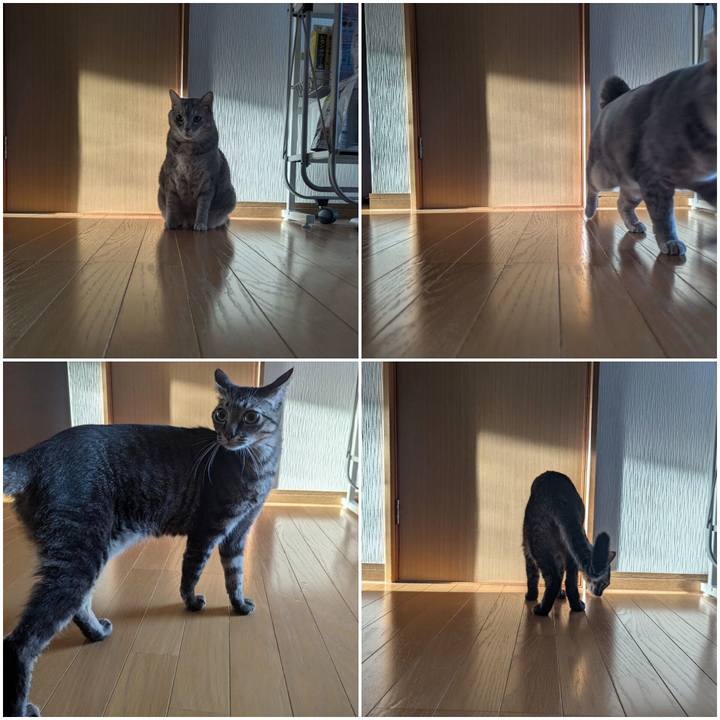 F35c4923 4fd3 4520 b6e8 9432a2b910b3 1732775043863