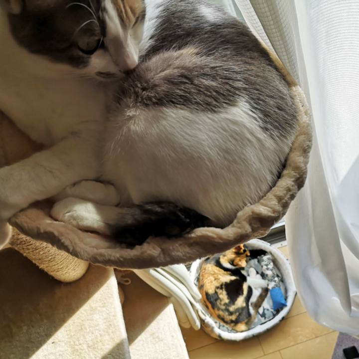 F35c5ac6 fa16 4665 af38 b27e0429f7c0 1615816274992