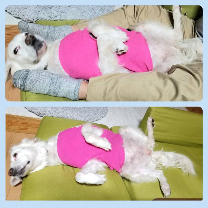 F35c7370 45f5 4c5a 8f75 68f87fd146e9 1705146599548