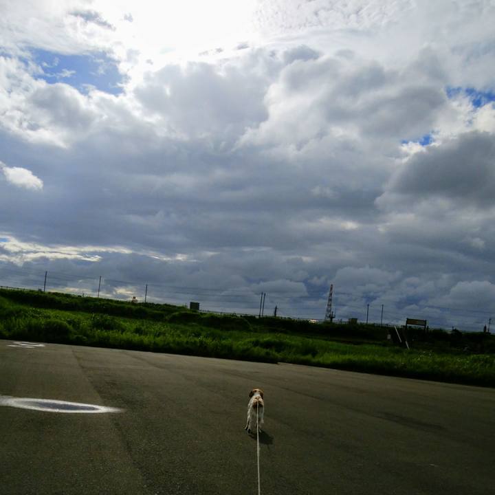 F35c8ded 8226 4540 bf97 c3074b9d8763 1530706190889