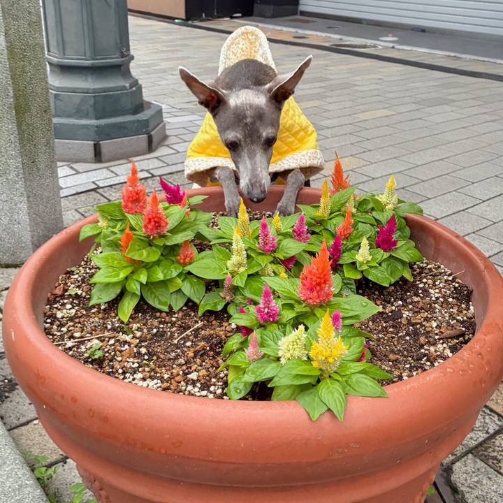 F35c8f12 22e4 4651 b0d8 903035affe90 1760265028385