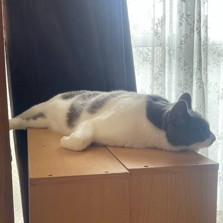 F35c97cb b77b 42f6 872d e8f5792017ec 1653024940051