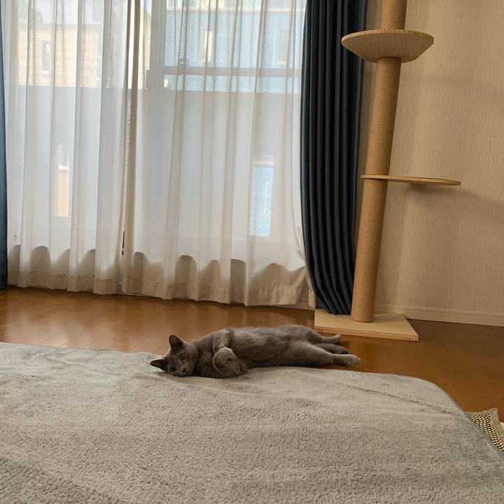 F35caf39 3c2c 4099 aa47 3d3f1c754380 1648613838151