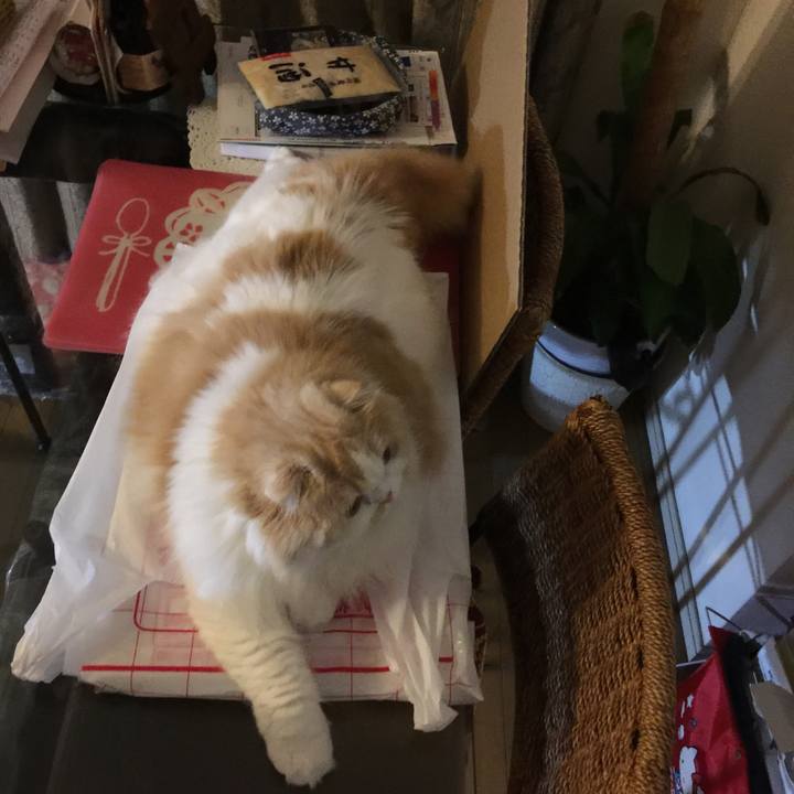 F35cc7e9 5c91 4c61 8356 fd79c85f6e30 1545998878244