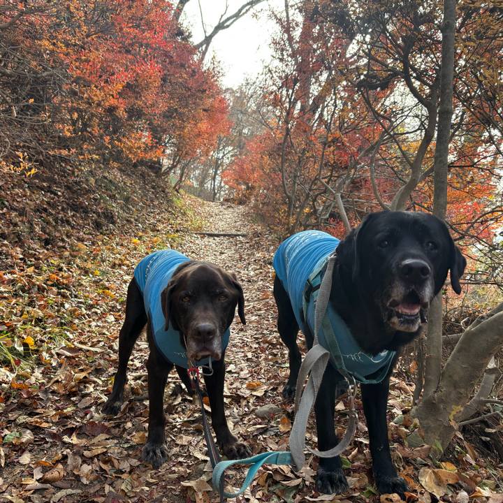 F35cda67 4fcf 4f58 a69d 6f18487d2509 1764244013557