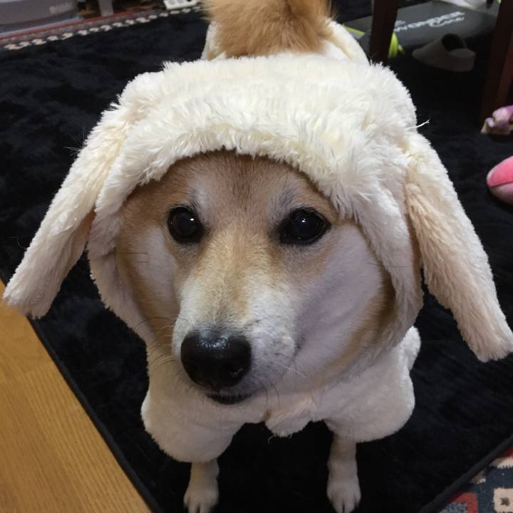 F35ce640 433d 44e0 80a3 6347a0cd545b 1598003620262