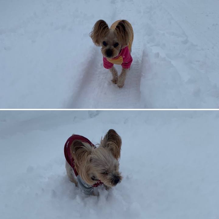 F35d19f9 510d 4cf4 b9e6 12c757a1ff1c 1642325426751