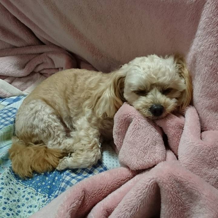 F35d1b6a 8aee 4565 8418 fdddca92f34a 1510669120052