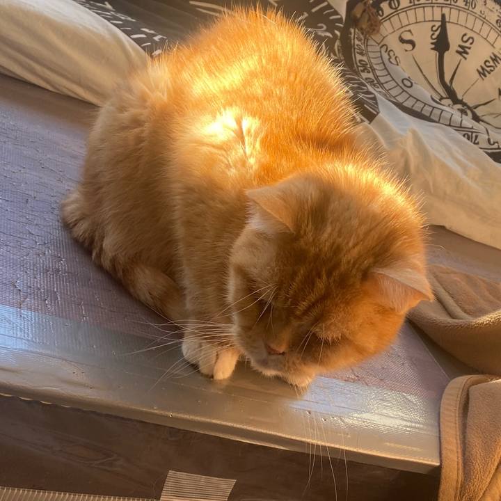 F35d23cb 2333 4dcd ac5f 8339d0532f76 1674953247993