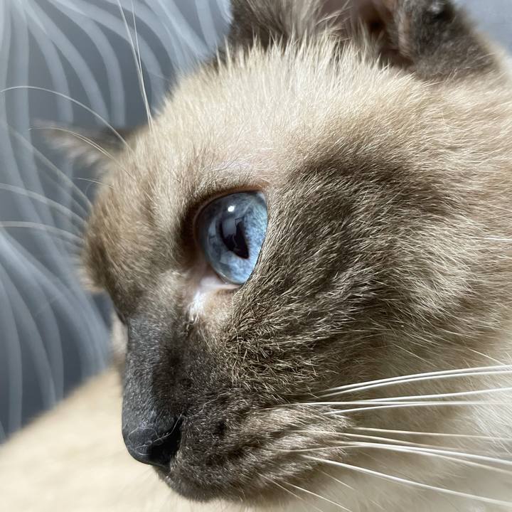 F35d3889 7a6d 4383 81b9 56ee43b1b90d 1760101027539