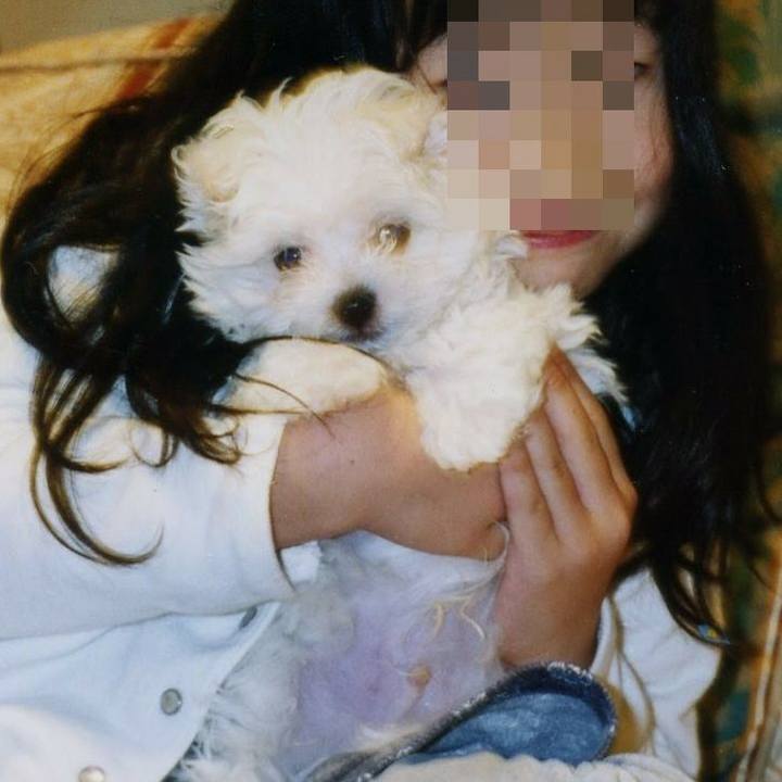 F35d3f51 b97c 4bd6 88b1 73f2a55dda15 1516062948817