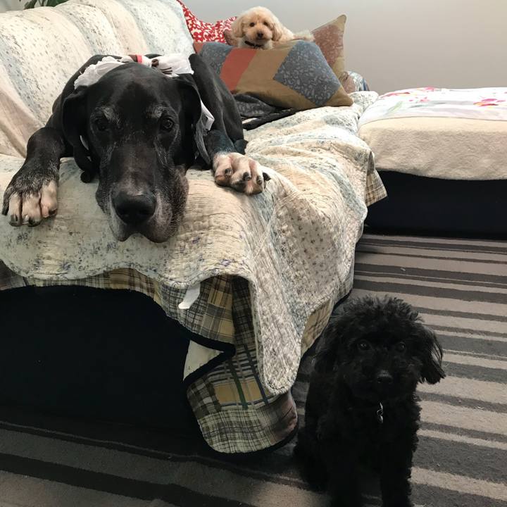 F35d9160 6a18 4b8a 97b0 9007e30f8ebb 1534113094513