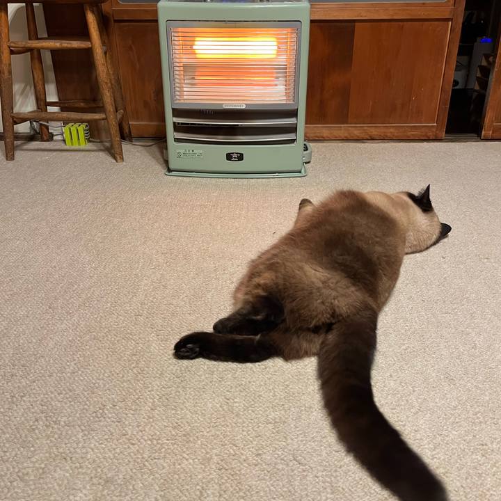 F35dc748 8e55 4a68 86cd 845c4a90a19b 1741180988636