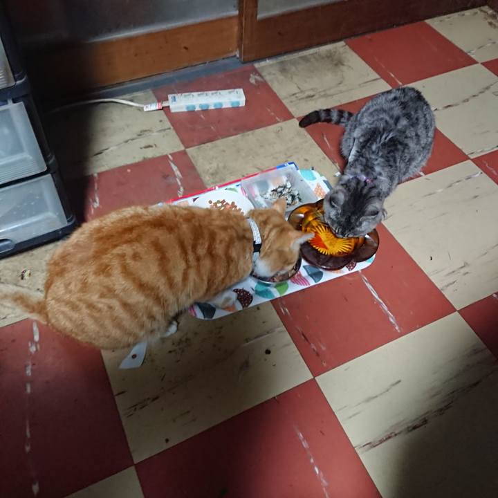 F35e098d ccfd 4e9d 966f 2ca9dd79fc46 1587632402517