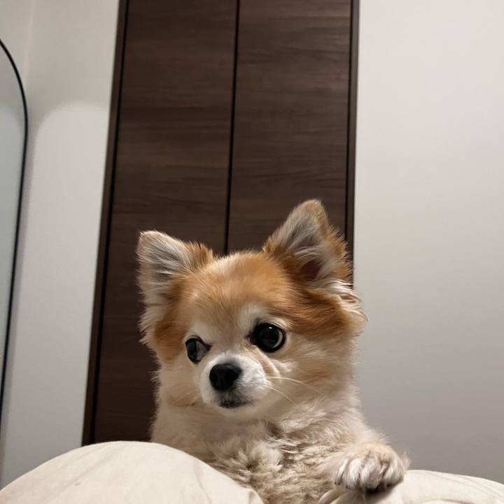 F35e16ce ee13 4d7b 8de2 4e607acb7ff3 1767441818377