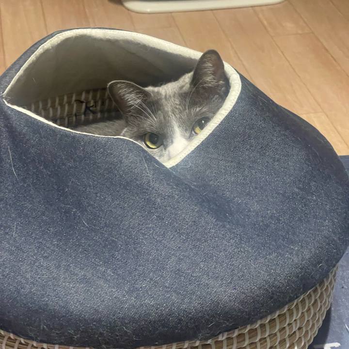 F35e1900 de53 406f 942c 17be7657a8da 1725880077480